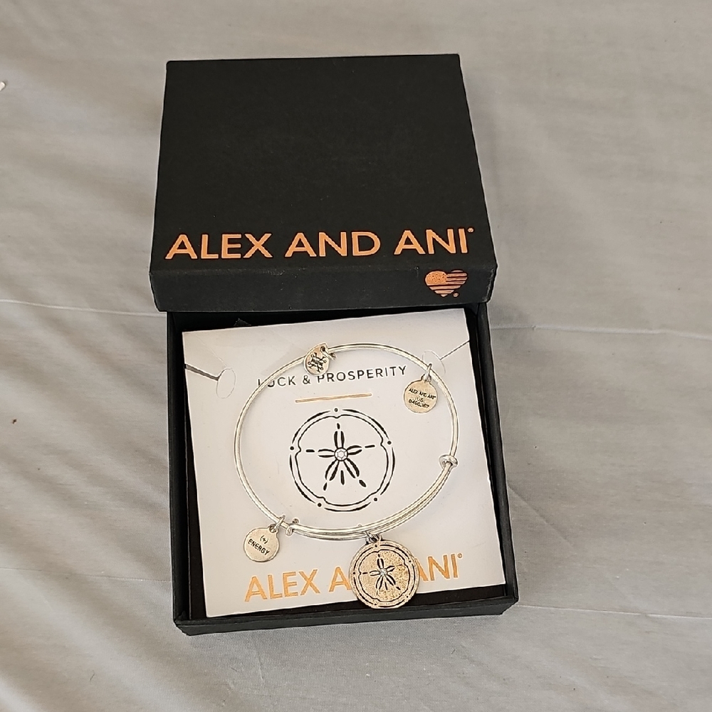 Alex and Ani Silver Charm Bracelet